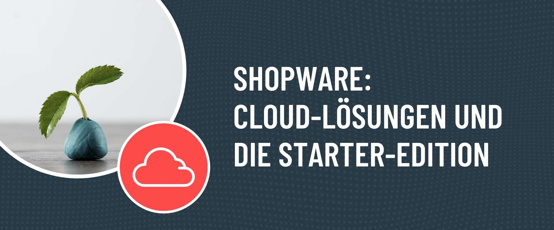 Shopware Cloud, Shopware Starter Edition
