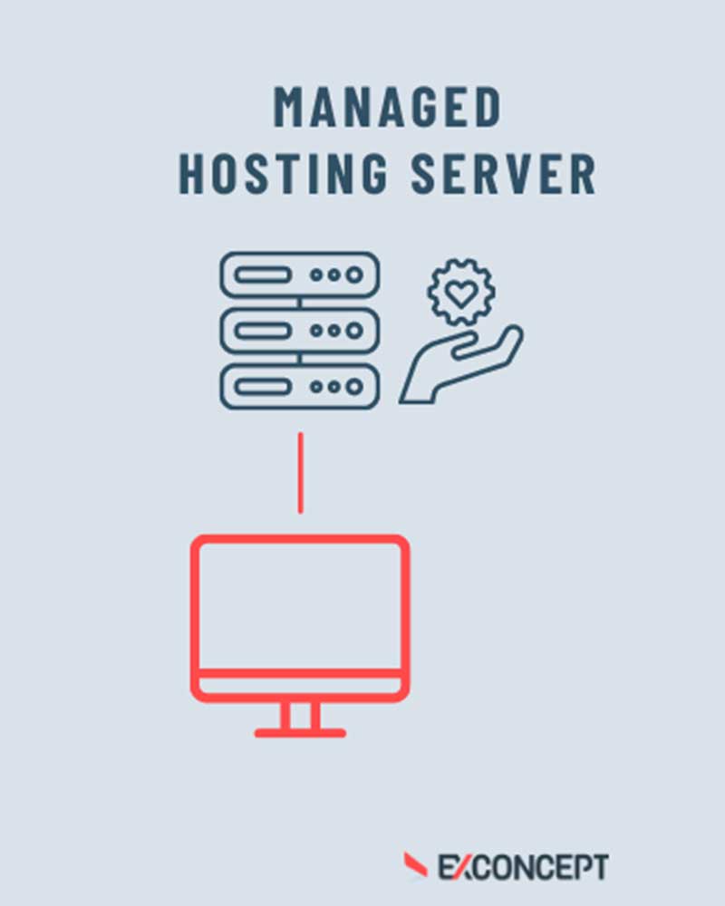 Grafische Darstellung von Managed Hosting Server